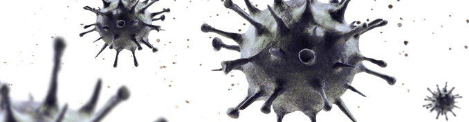 graue Corona Viren vor wei&szlig;em Hintergrund