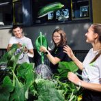 Junge Leute bauen Gem&uuml;se klimafreundlich an