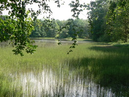 Moderteich Mannichswalde