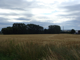 FND Feuchtbiotop Jerisau