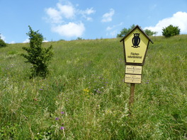 Hangwiese am D&ouml;bitzbach