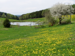 Jahnsgr&uuml;ner Teich