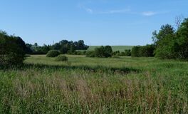 Feuchtwiesenrenaturierungsfl&auml;che Lohteichtal
