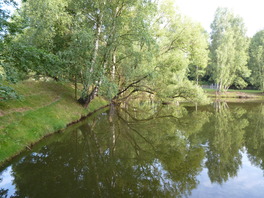 Teiche im Plei&szlig;enbachgrund