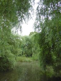 Tetzners Fischteiche