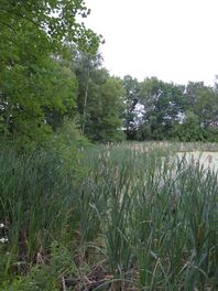 Ziegeleiteiche K&auml;ndler