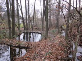 Pfarrgarten Langenwei&szlig;bach