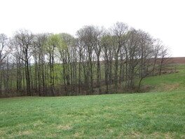 Drei Kerbt&auml;lchen M&uuml;lsen St. Micheln