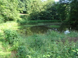 Fischteiche am Forellenbach