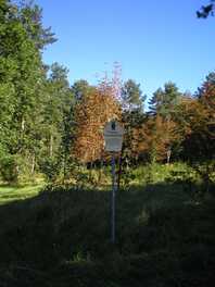 FND Zwergstrauchheide und Serpentinitsteinbr&uuml;che Kuhschnappel