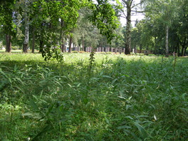 Hauptfriedhof Zwickau