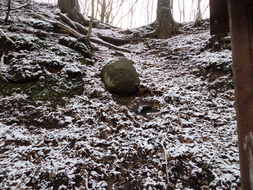 geologisches Naturdenkmal "Granit-Findling"