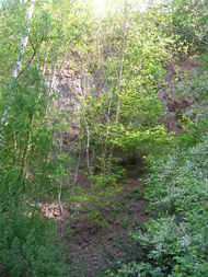 geologisches ND "Melaphyrsteilhang" in Oberhondorf