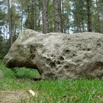 Steinerne Kuh im R&uuml;mpfforst