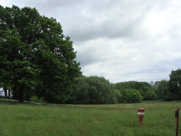Blick in den Hirschgrund