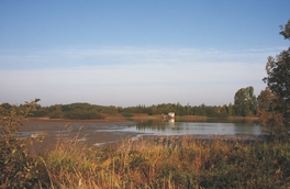 Limbacher Teichgebiet - Blick auf den Gro&szlig;en Teich
