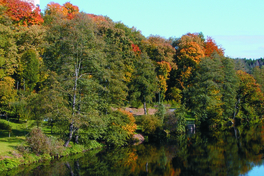 Herbst an der Zwickauer Mulde