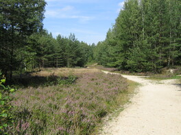 Fl&auml;chennaturdenkmal "ehem. Grube 2" im Paradiesgrund