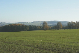 Blick ins Landschaftsschutzgebiet