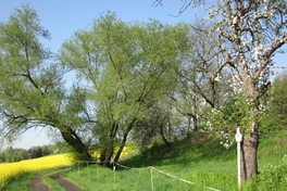 Fr&uuml;hjahr im Sahngebiet