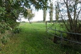 Muldenaue am Stausee Glauchau