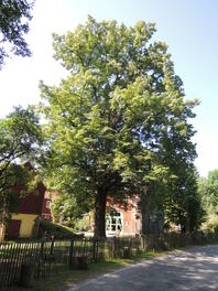 M&uuml;hlen-Linde Gospersgr&uuml;n