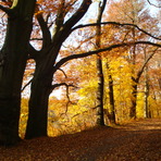 Schlosspromenade Hartenstein