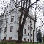 Kastanie am Schloss Steinpleis