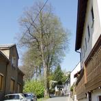 Lindenstra&szlig;e in Wildenfels